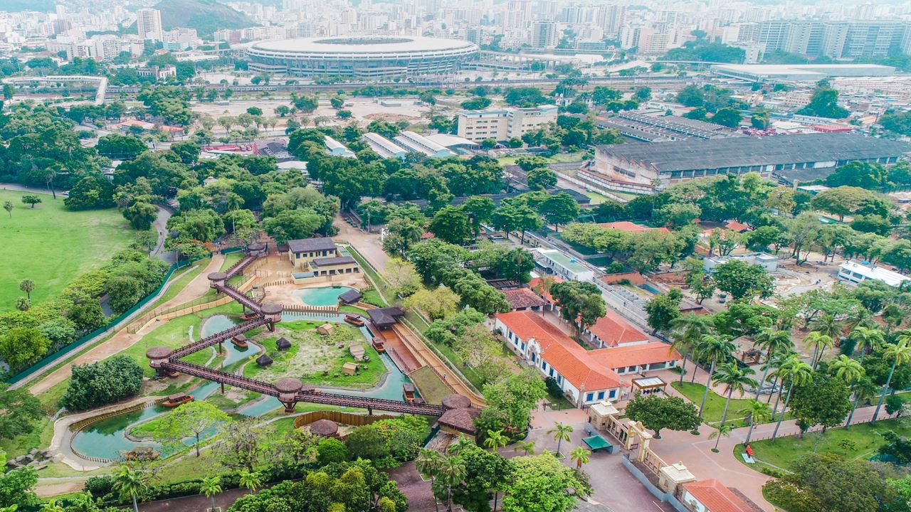 Bioparque Rio Tour (3)