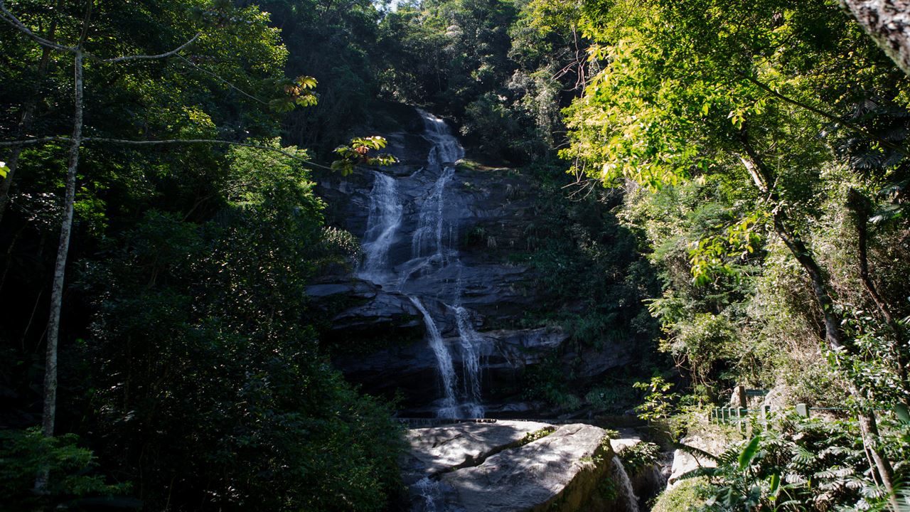 Jeep Tour Corcovado With Floresta Da Tijuca And Santa Teresa (4)