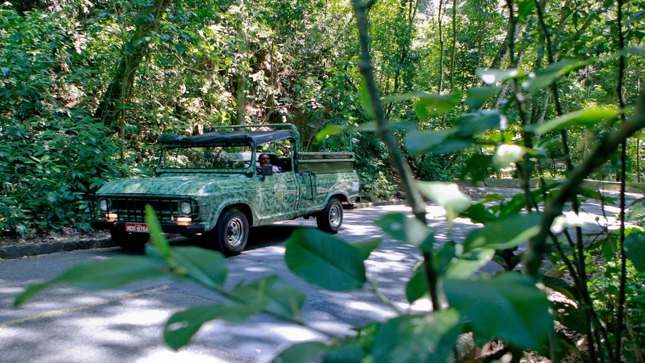 Tijuca National Park By Jeep (5)