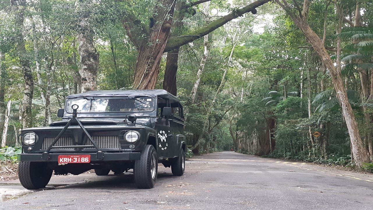 Tijuca National Park By Jeep (4)