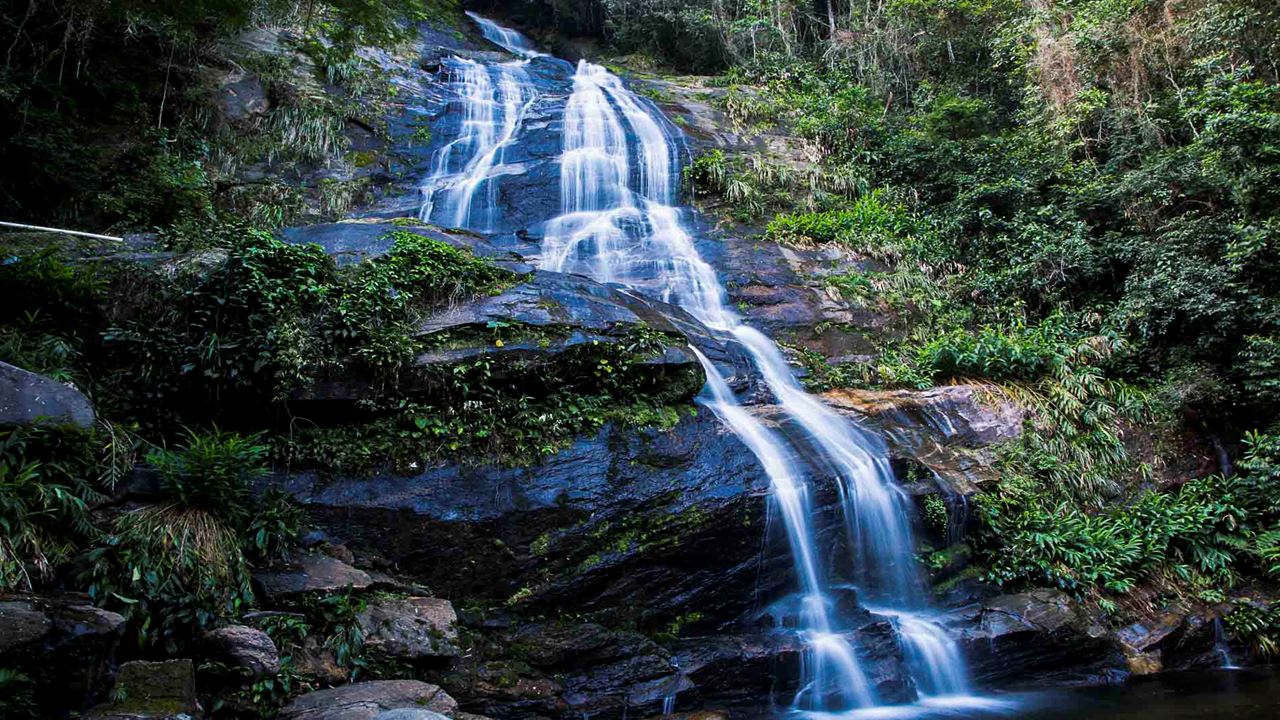 Tijuca National Park By Jeep (3)