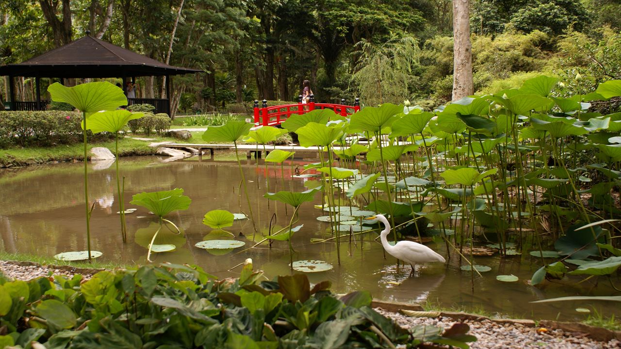 Passeio De Jipe Floresta Da Tijuca + Jardim Botânico (4)