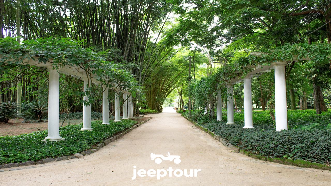 Passeio De Jipe Floresta Da Tijuca + Jardim Botânico (5)