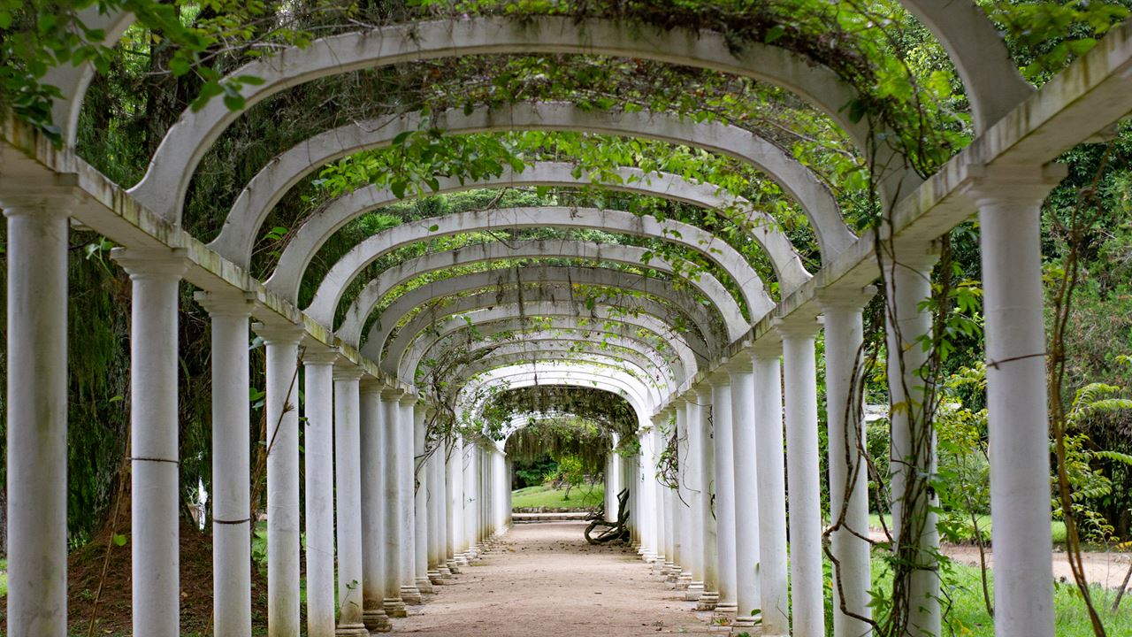 Passeio De Jipe Floresta Da Tijuca + Jardim Botânico (6)