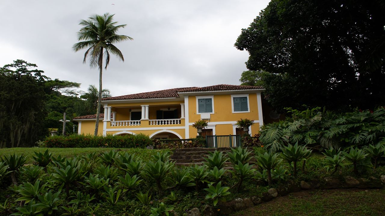 Passeio De Jipe Floresta Da Tijuca + Jardim Botânico (7)