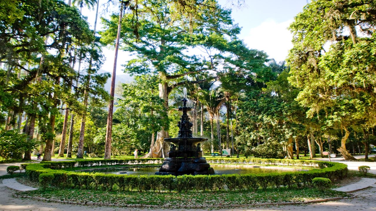 Passeio De Jipe Floresta Da Tijuca + Jardim Botânico (8)