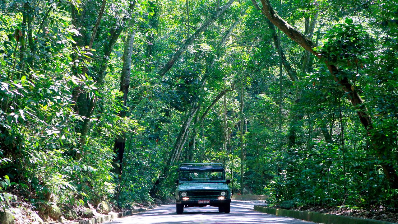 Jeep Tour Floresta Da Tijuca + Botanical Garden